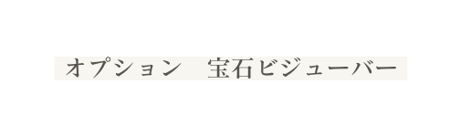 オプション 宝石ビジューバー